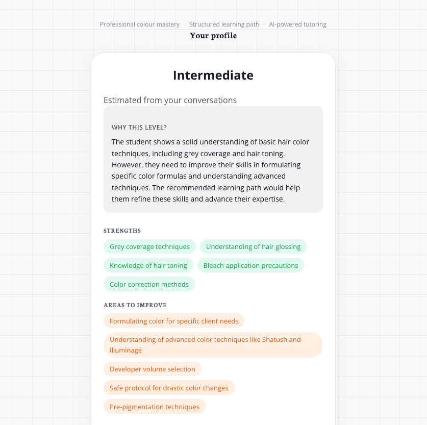 Verified profile screen — Junior level, with the AI explanation, strengths tags (grey coverage techniques, toning methods, hair color formulas, hair coloring techniques, preventing hair damage) and areas to improve (advanced color correction, colorimetry, language proficiency, client consultation skills, custom colour formulation).