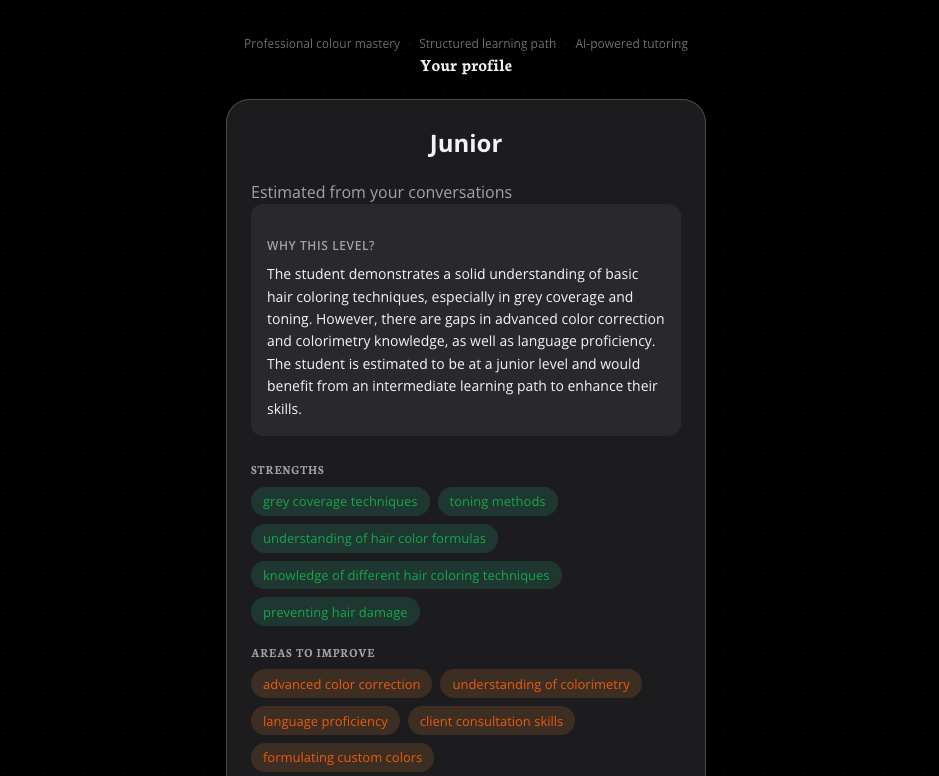 Verified profile screen — Junior level, with the AI explanation, strengths tags (grey coverage techniques, toning methods, hair color formulas, hair coloring techniques, preventing hair damage) and areas to improve (advanced color correction, colorimetry, language proficiency, client consultation skills, custom colour formulation).