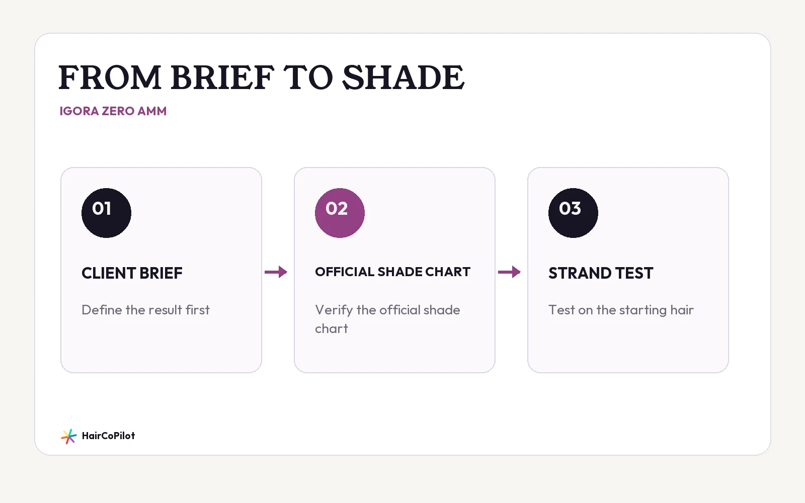 HairCoPilot diagram headed “FROM BRIEF TO SHADE”, with CLIENT BRIEF, OFFICIAL SHADE CHART, STRAND TEST.