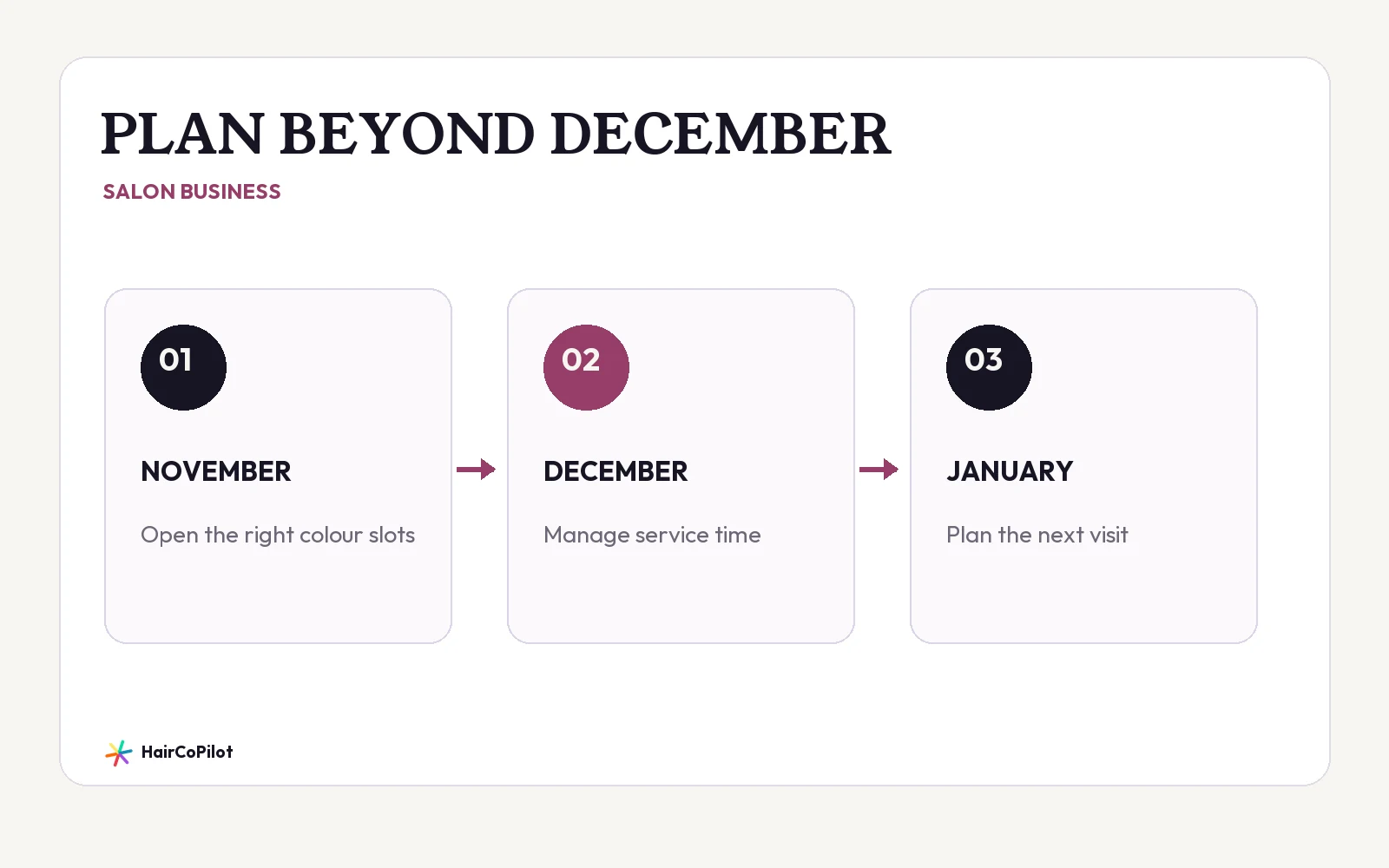 HairCoPilot diagram headed “PLAN BEYOND DECEMBER”, with NOVEMBER, DECEMBER, JANUARY.